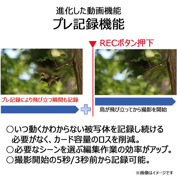 画像9: キヤノン　ミラーレスカメラ (9)