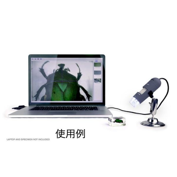 画像6: Celestron 顕微鏡 (6)