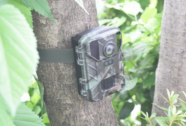 画像8: 赤外線無人撮影 4K カメラ サイトロンジャパン (8)