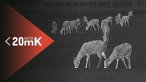 画像7: HIKMICRO サーマル単眼スコープ (7)